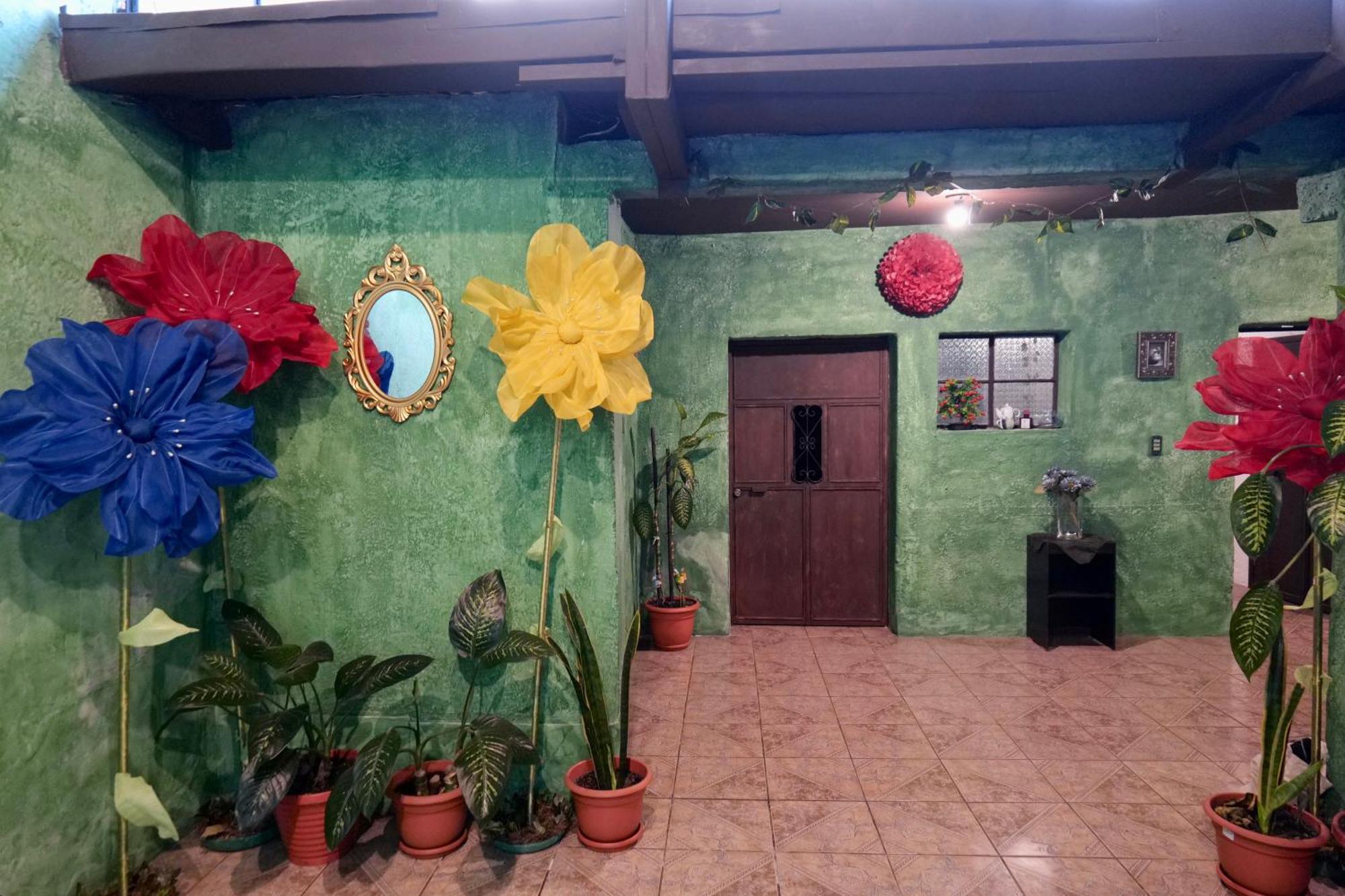 Wonderland Hostel Antigua Exteriér fotografie